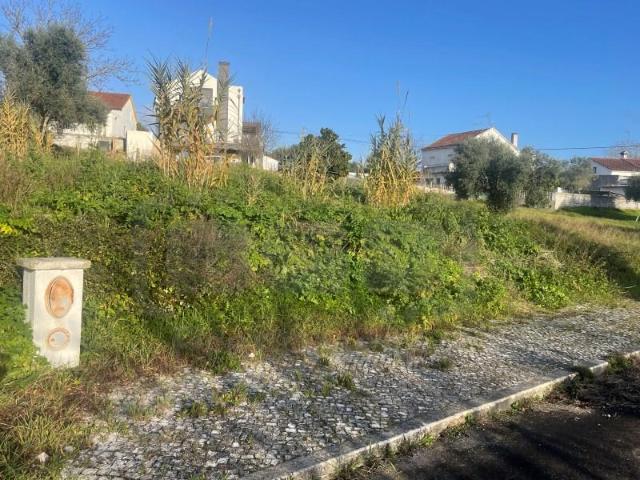 Terreno venda em Tomar, Santarém