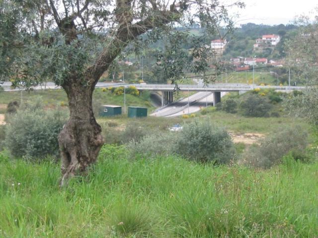 Terreno venda em Tomar, Santarém