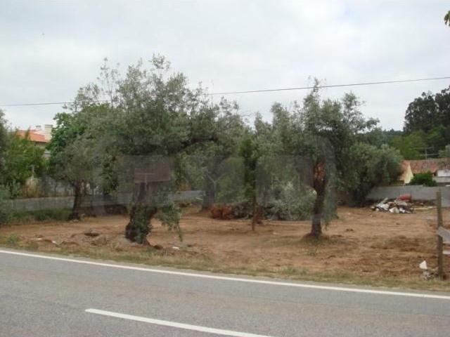 Terreno venda em Tomar, Santarém