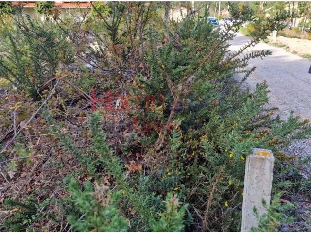 Terreno venda em Tondela e Nandufe, Tondela