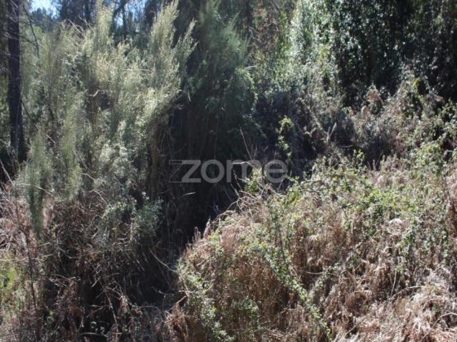 Terreno venda em Tondela e Nandufe, Tondela
