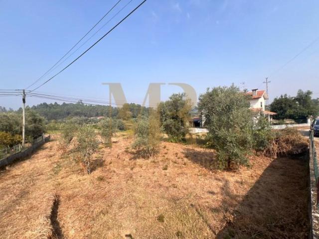 Terreno venda em Tondela e Nandufe, Tondela