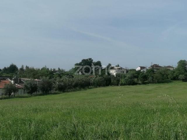 Terreno venda em Tondela e Nandufe, Tondela