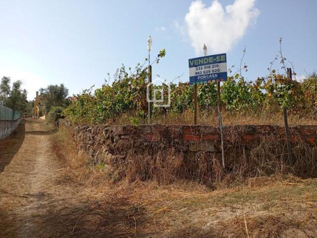 Terreno venda em Tondela e Nandufe, Tondela