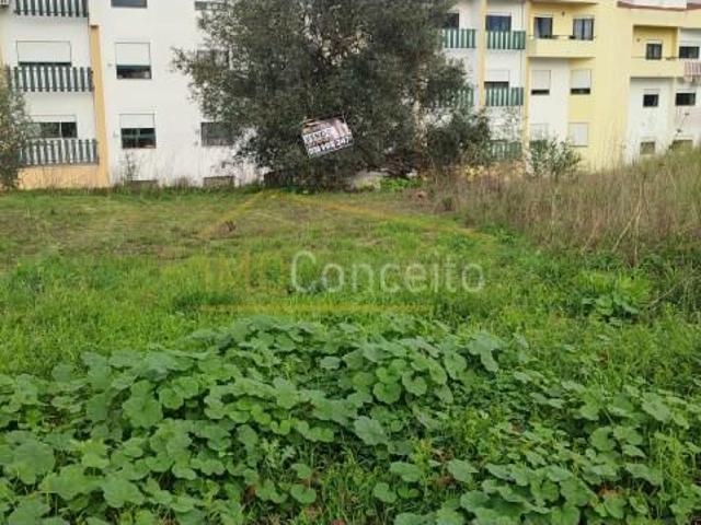 Terreno venda em Torres Novas, Santarém