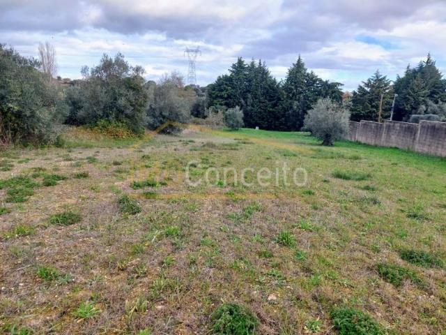 Terreno venda em Olaia e Paço, Torres Novas