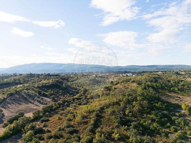 Terreno venda em Olaia e Paço, Torres Novas