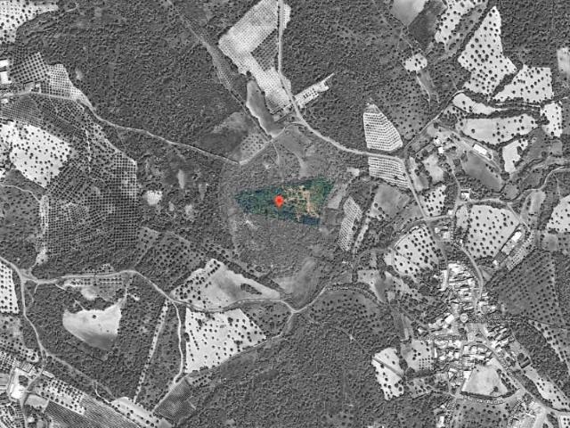 Terreno venda em Torres Novas, Santarém