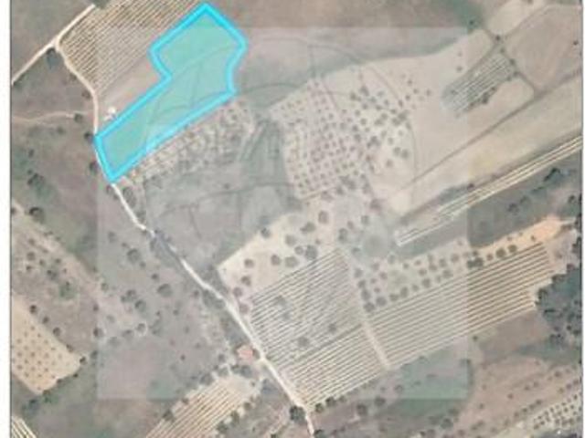 Terreno venda em Torres Novas, Santarém