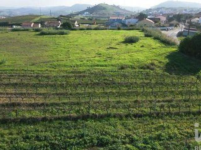 Terreno venda em Colaria, Torres Vedras
