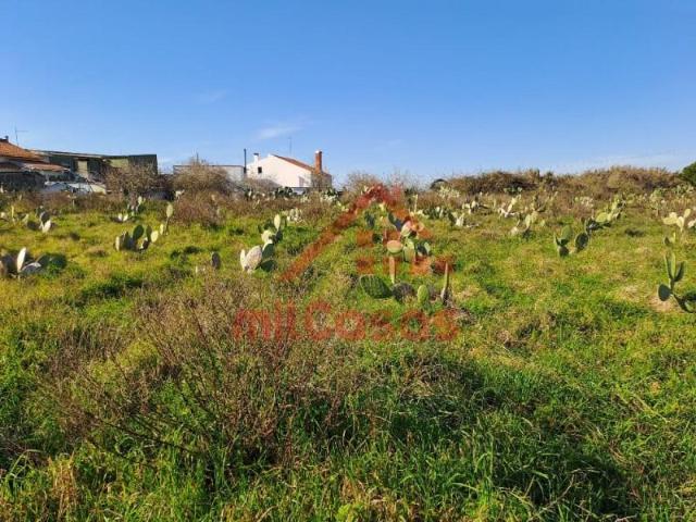 Terreno venda em Torres Vedras, Lisboa