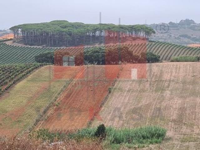 Terreno venda em Mafra, Lisboa