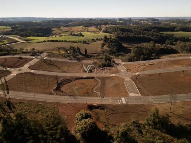 Terreno venda em Região Geográfica Imediata de Bento Gonçalves, Vila Flores
