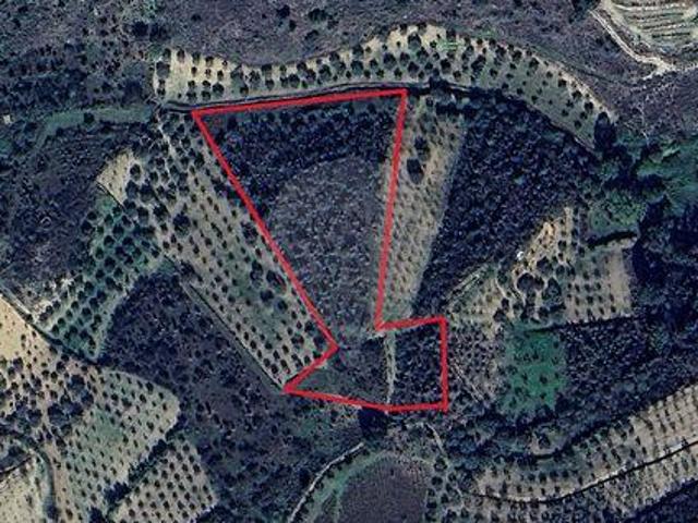 Terreno venda em Argeriz, Vila Real