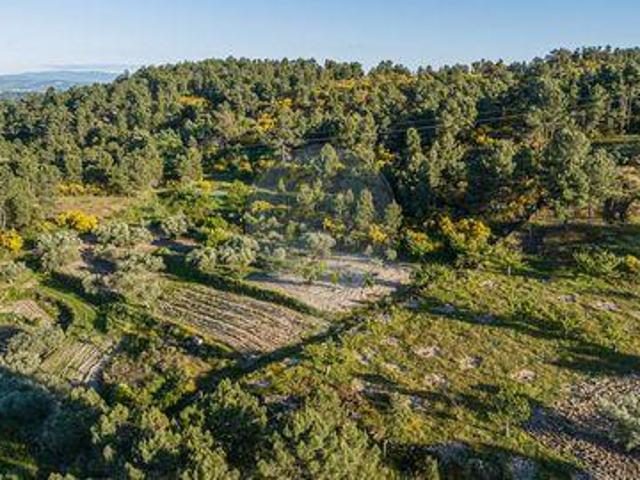 Terreno venda em Gorgoço, Argeriz