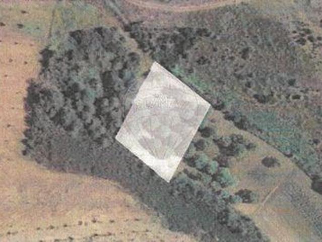 Terreno venda em Lama de Ouriço, Argeriz