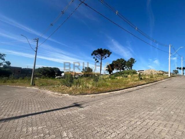Terreno venda em Região Geográfica Imediata de Caxias do Sul, Caxias do Sul
