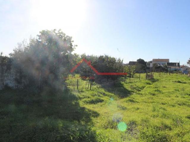 Terreno venda em Vendas Novas Terreno venda em Vendas Novas