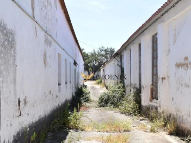 Terreno venda em Vendas Novas Terreno venda em Vendas Novas
