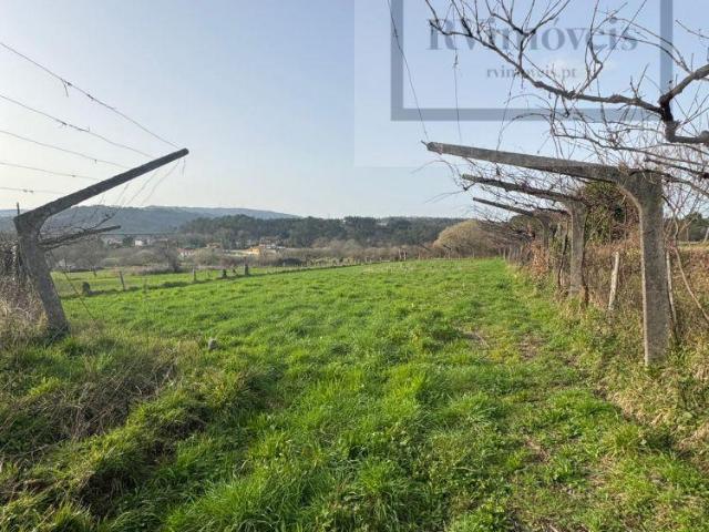 Terreno venda em Coura, Viana Do Castelo