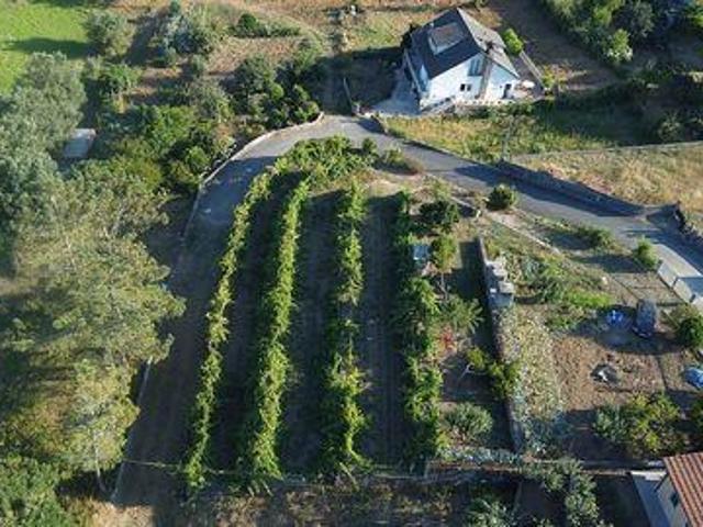 Terreno venda em Viana Do Castelo