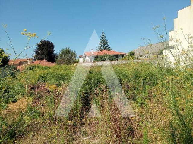 Terreno venda em Viana Do Castelo