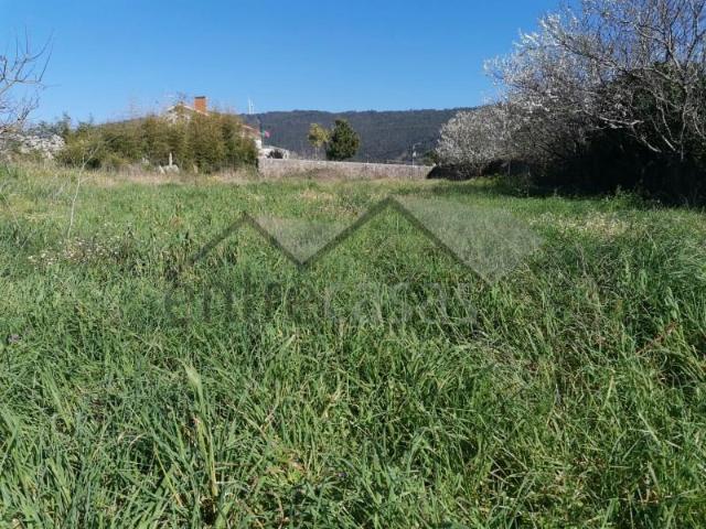 Terreno venda em Viana Do Castelo