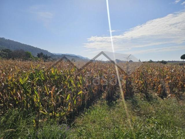 Terreno venda em Viana Do Castelo