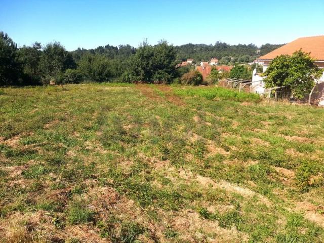 Terreno venda em Viana Do Castelo