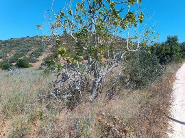 Terreno venda em Vila Do Bispo, Faro
