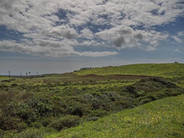 Terreno venda em Vila Do Bispo, Faro