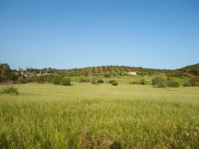 Terreno venda em Vila Do Bispo, Faro