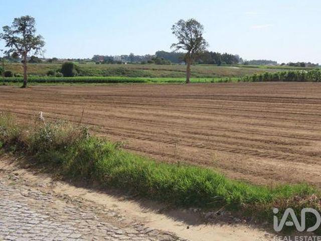 Terreno venda em Vila Do Conde, Porto