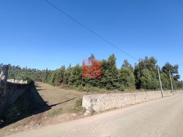 Terreno venda em Vila Do Conde, Porto