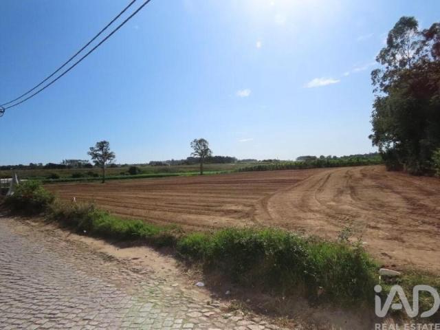 Terreno venda em Maia, Vila Do Conde