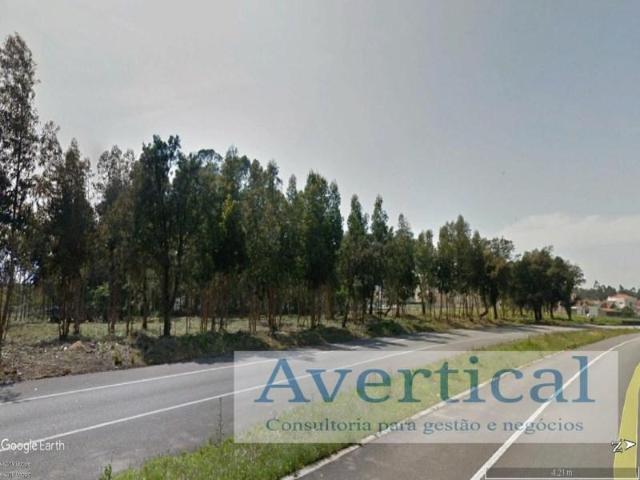 Terreno alugar em Vila Do Conde, Porto