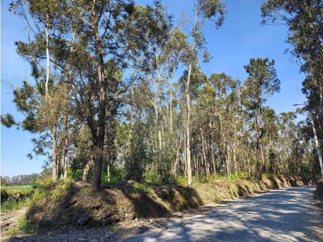 Terreno alugar em Vilar e Mosteiró, Vila Do Conde