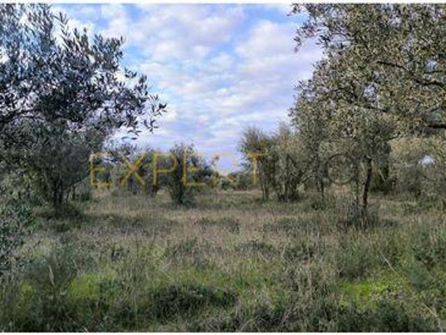 Terreno venda em Praia Do Ribatejo, Santarém