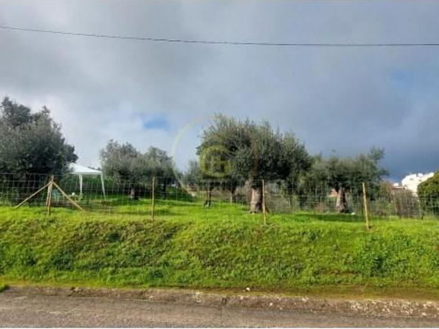 Terreno venda em Vila Nova Da Barquinha, Santarém