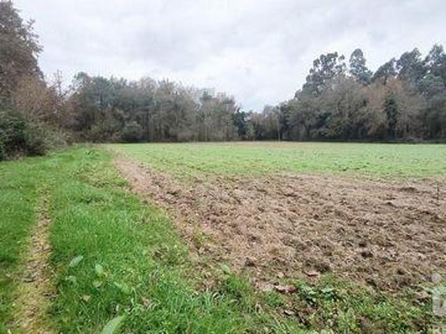 Terreno venda em Cainho, Vila Nova De Cerveira