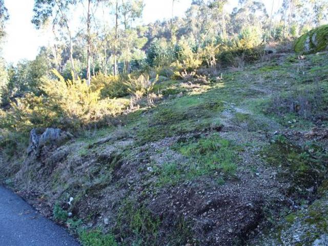 Terreno venda em Gavião, Braga
