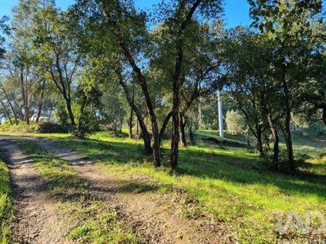 Terreno venda em Poiares (Santo André), Vila Nova De Poiares