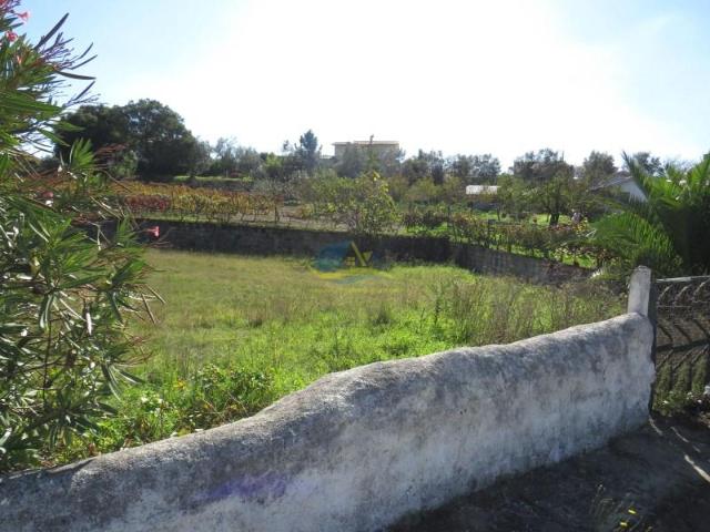 Terreno venda em Poiares (Santo André), Vila Nova De Poiares