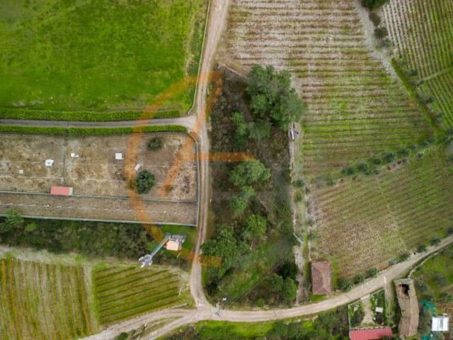 Terreno venda em Vila Seca de Poiares, Peso Da Régua