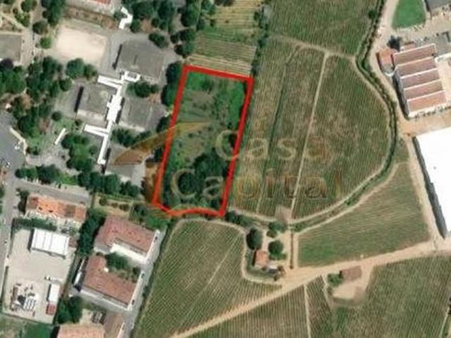 Terreno venda em Vila Real