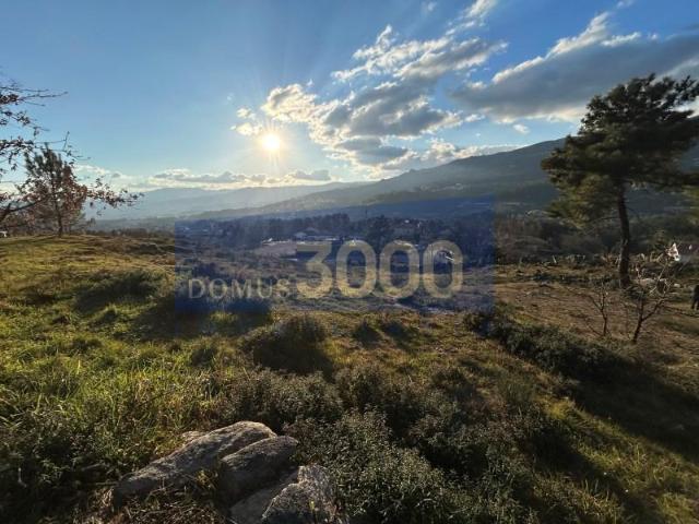 Terreno venda em Vila Real