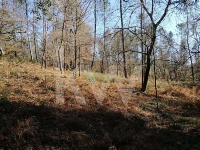 Terreno venda em Vila Verde, Braga