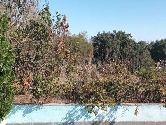Terreno venda em Vila Viçosa, Évora