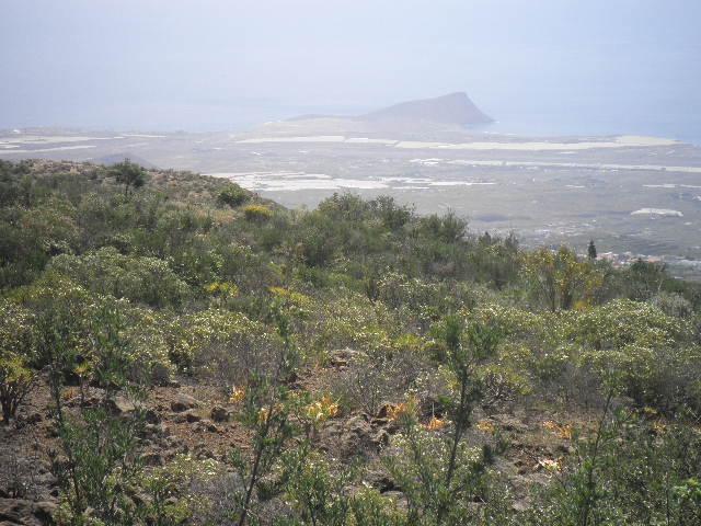 Terreno en venta en La orotava, Canarias