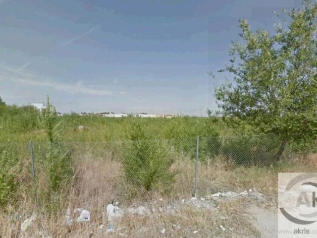 Terreno en venta en La Villa De Don Fadrique